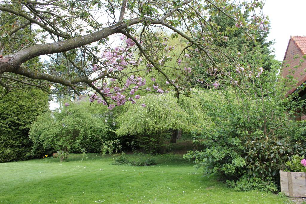 L'Heure Bleue Gites Et Chambres D'Hotes Givenchy-en-Gohelle Luaran gambar